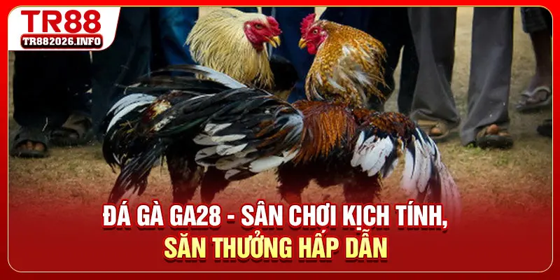 Đá Gà GA28 - Sân Chơi Kịch Tính, Săn Thưởng Hấp Dẫn