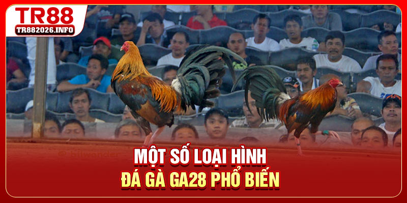 Một số loại hình đá gà GA28 phổ biến